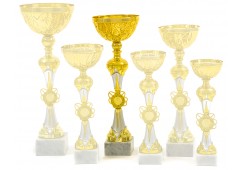 4920 B - Standard Cup